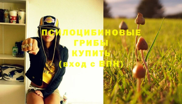 ГАЛЛЮЦИНОГЕННЫЕ ГРИБЫ Ладушкин