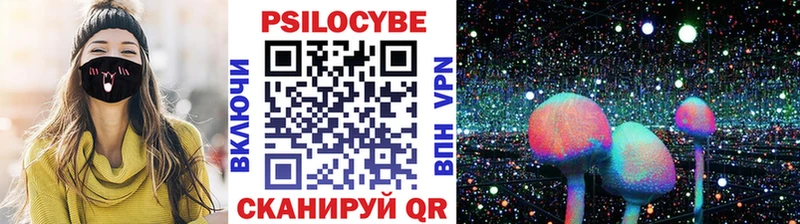 Купить где  Себеж  Псилоцибиновые грибы ЛСД 